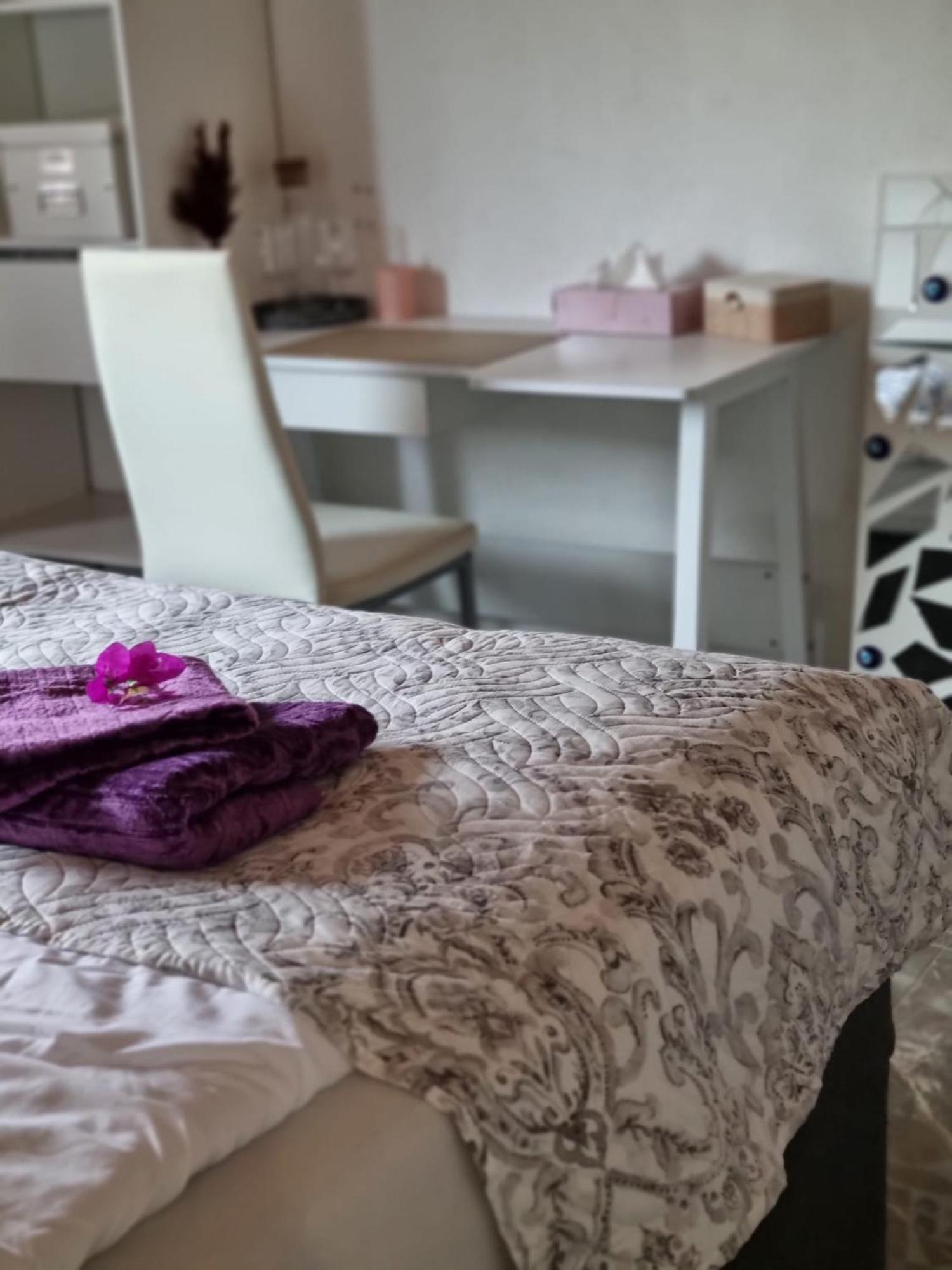 Apartment Sasu فريدريشسهافن المظهر الخارجي الصورة